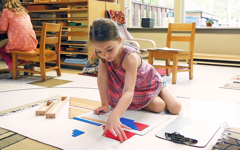 Montessori Curriculum