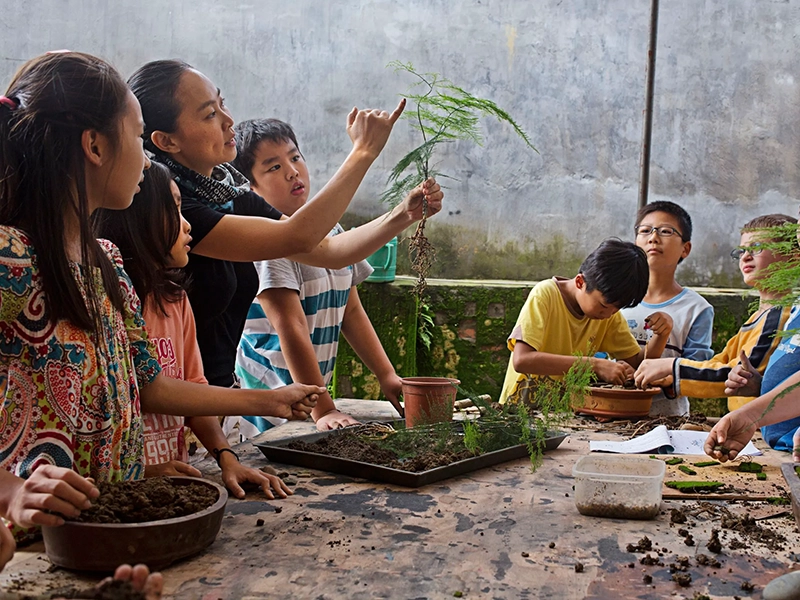 Waldorf education system