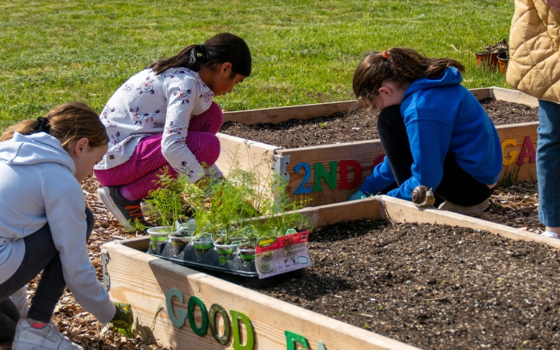 Sensory Garden