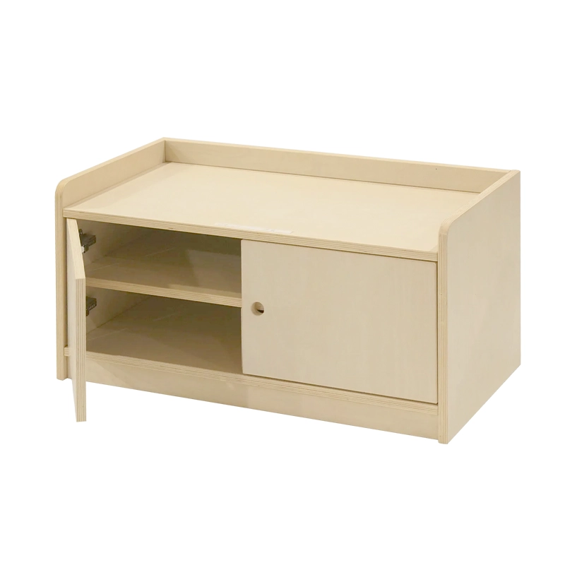 2 Doors Multipurpose Cabinet