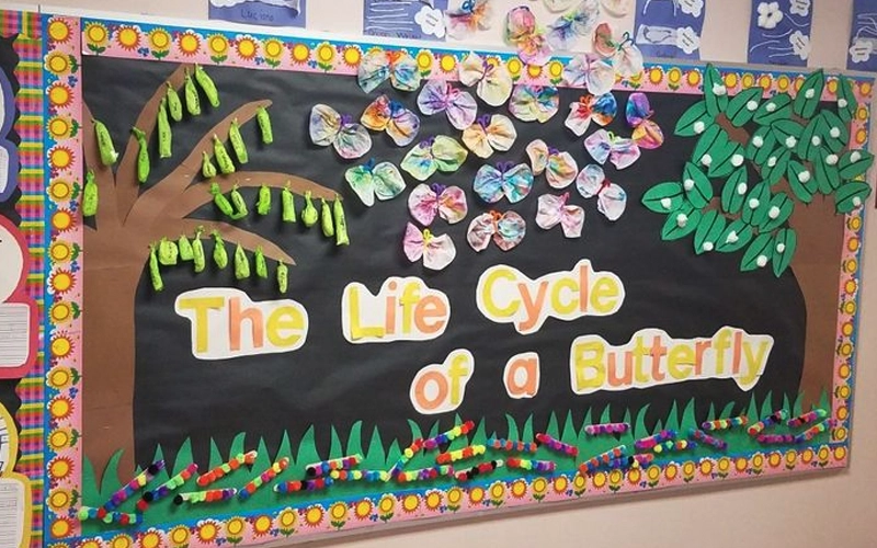 Butterfly Bulletin Board Ideas for Preschool