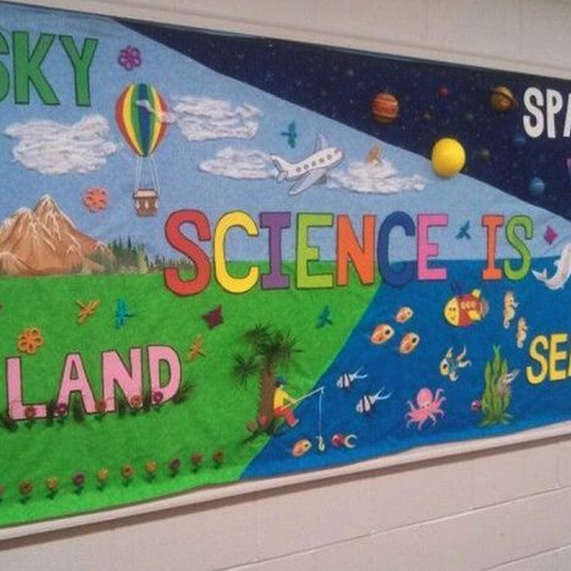 Science Bulletin Board Ideas for Preschool